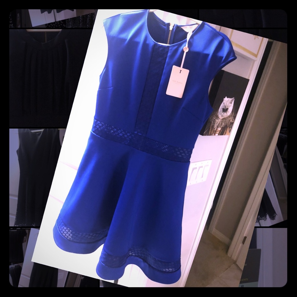 Ted baker cobalt blue mesh inlay dress. Size 4=10